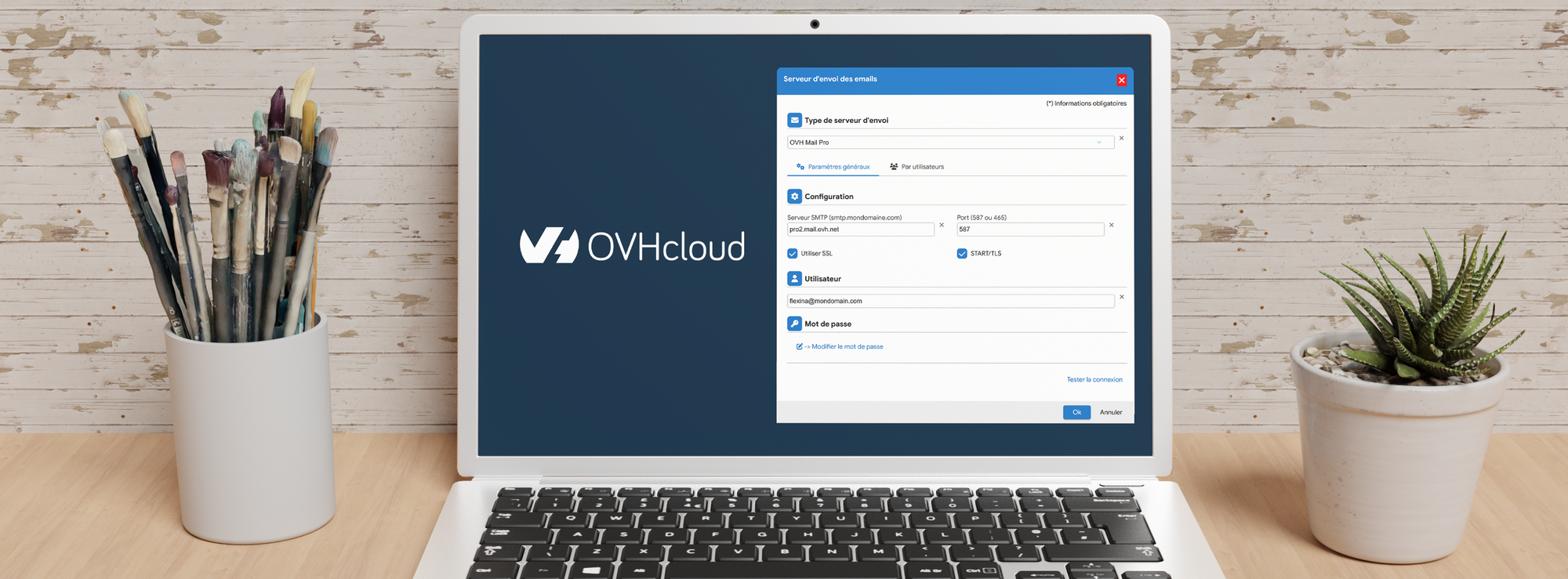Hoe OVH Email Pro te configureren in Flexina