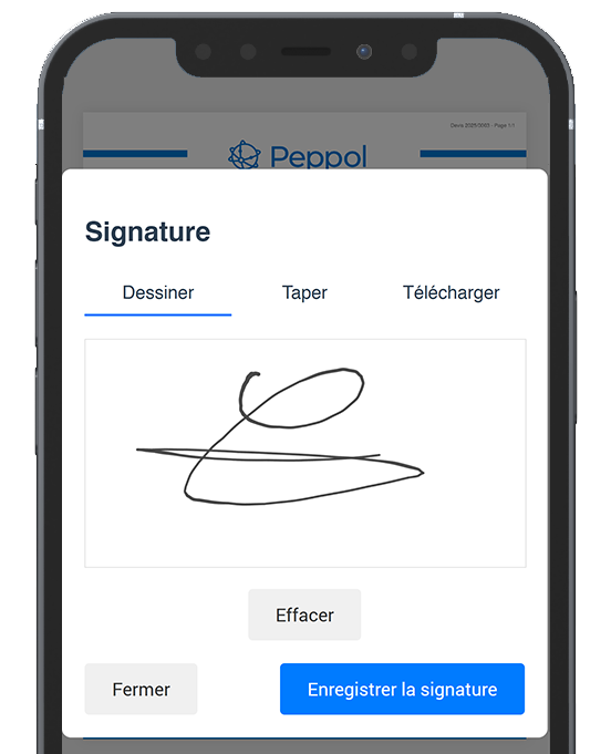 Electronic signature interface on mobile