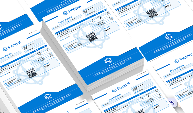 Flexina interface for accountants